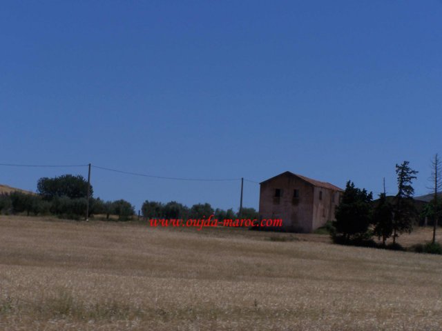guebouz3.jpg