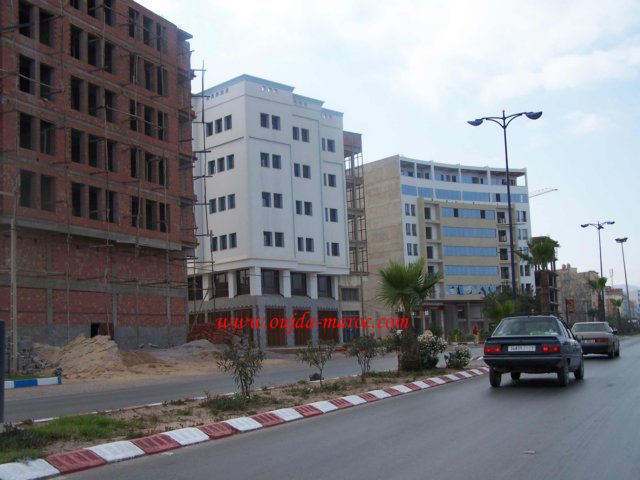 ruedenador2.jpg