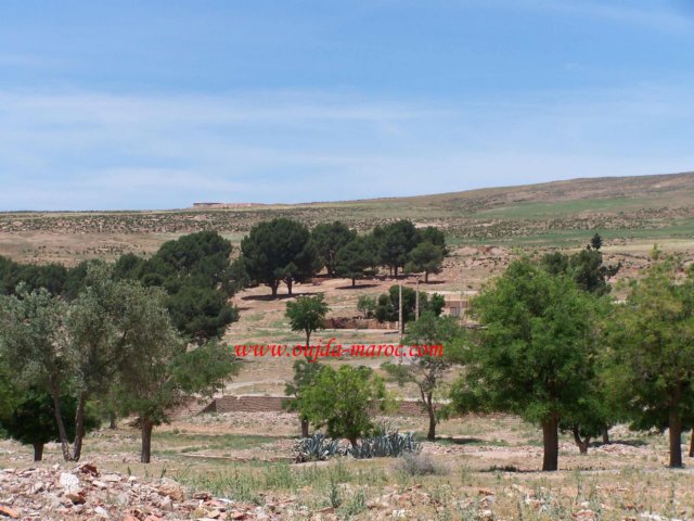 sidiboubkerancienvillagedesminesdezallidja8.jpg